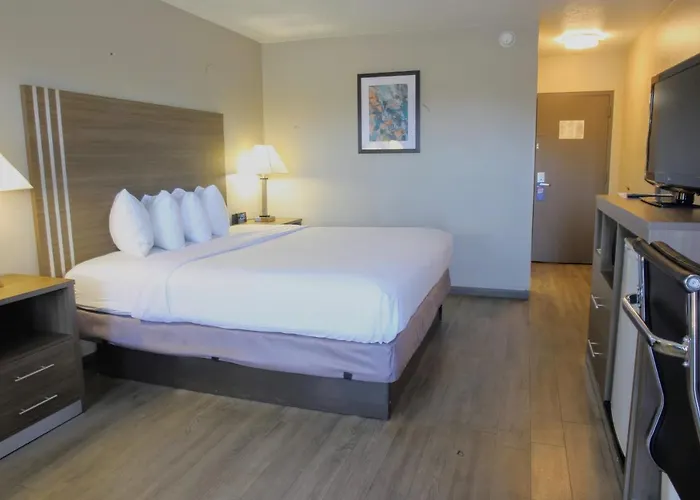 Hotel Baymont By Wyndham