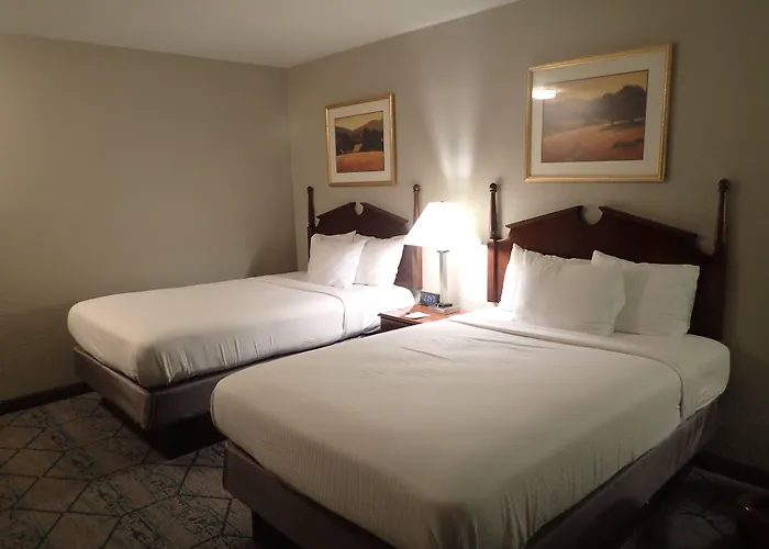Hotel Baymont By Wyndham