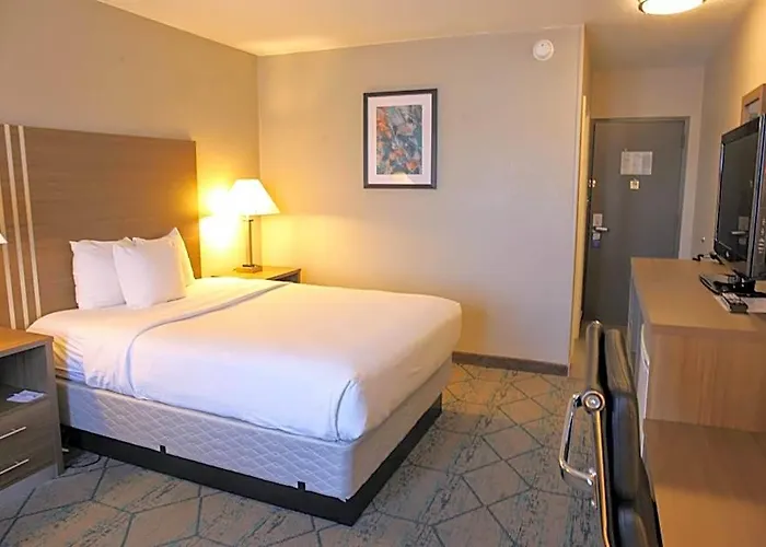 Baymont By Wyndham Hotel